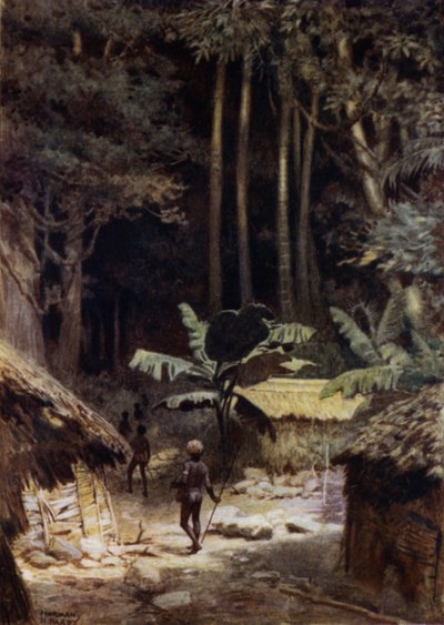 On the Fringe of a primaeval Forest, Solomon Islands by Norman Hardy