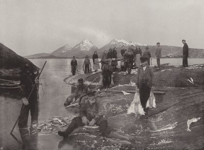 Washing Klip-Fish by Norwegian Photographer