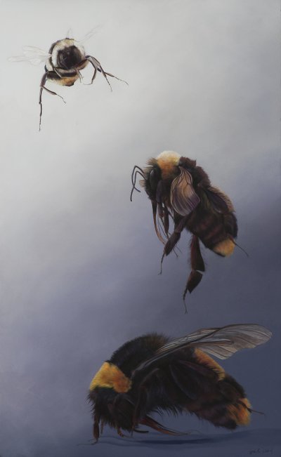 Bombus flight 2 by Odile Kidd