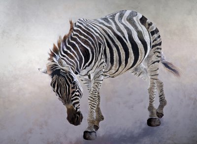 Equus burchelli 2 by Odile Kidd