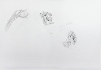 Estella rijnveld 1 by Odile Kidd