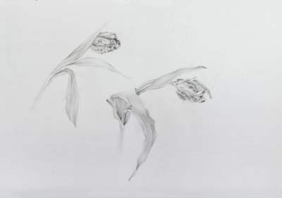 Estella Rijnveld 2, 2017 by Odile Kidd