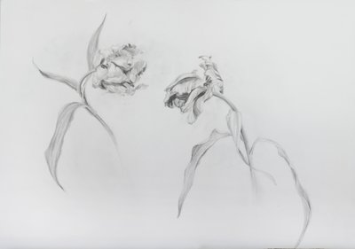 Estella rijnveld 3 by Odile Kidd