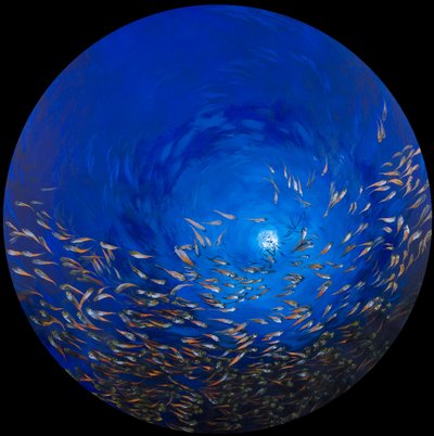 Glass fish 2 by Odile Kidd