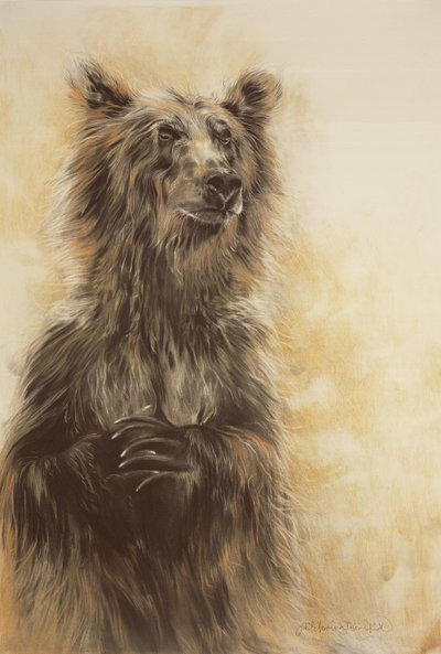 Grizzly Bear 1 by Odile Kidd