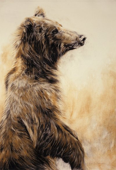Grizzly Bear 2 by Odile Kidd