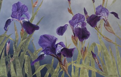 Iris hybrida (detail) by Odile Kidd