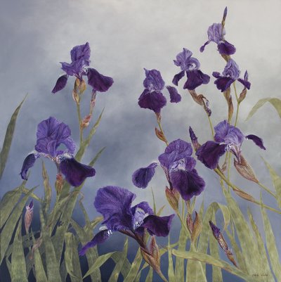 Iris Hybrida, 2015 by Odile Kidd