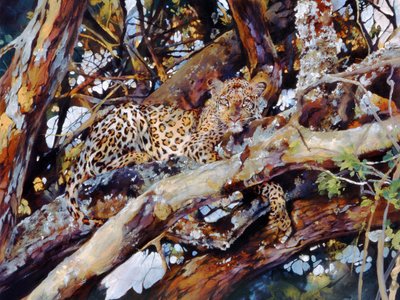 Kenyan Leopard by Odile Kidd