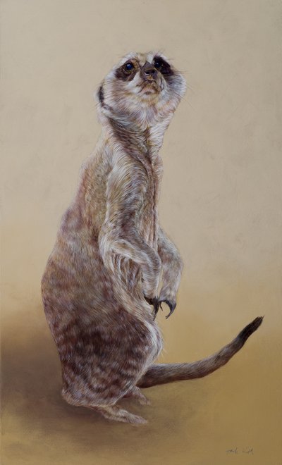 Meerkat 2 by Odile Kidd