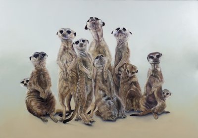 Meerkat Mob, Sun Angels, 2013 by Odile Kidd