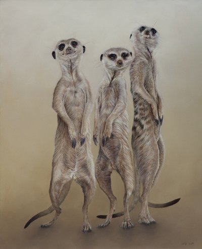 Meerkats by Odile Kidd