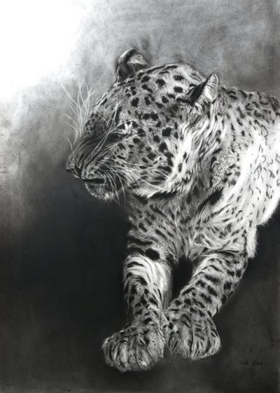 Panthera pardus 2 by Odile Kidd