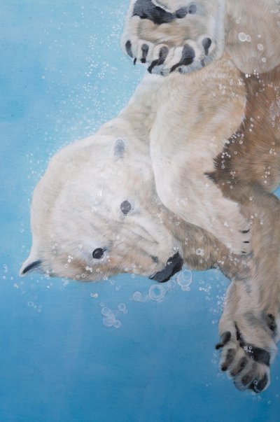 Polar Bear Ballet (detail) by Odile Kidd