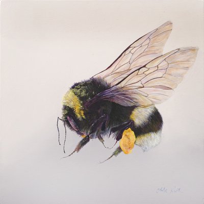 Pollen Sac 2, 2011 by Odile Kidd