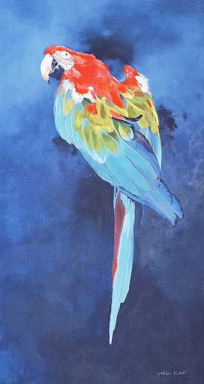 Red and Blue Macaw by Odile Kidd