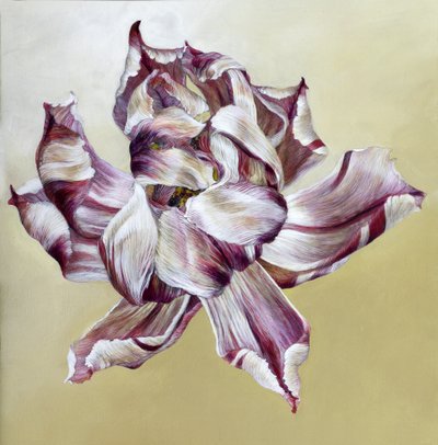 Tulipa, 2013 by Odile Kidd