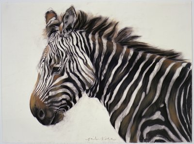 Zebra by Odile Kidd