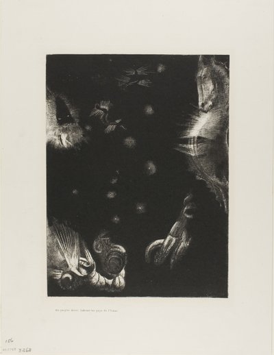 Different Peoples Inhabit the Countries of the Ocean, plate 23 of 24 by Odilon Redon