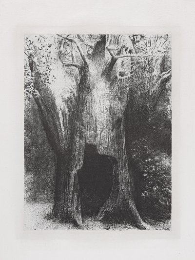 I Have Sunk into Solitude by Odilon Redon