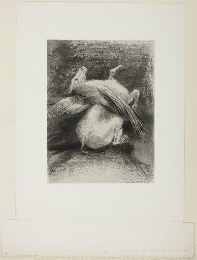 The Impotent Wing Did Not Lift the Animal Into That Black Space, plate 7 of 8 from Les Origines by Odilon Redon