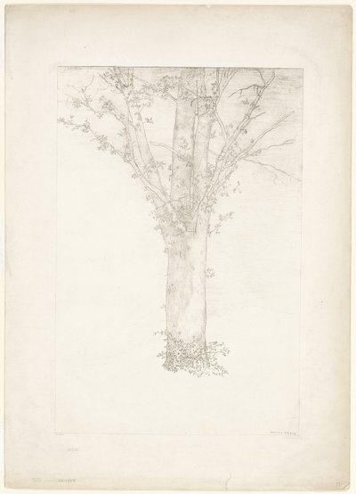 Tree by Odilon Redon