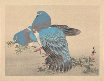 Pigeons by Ogata Gekko