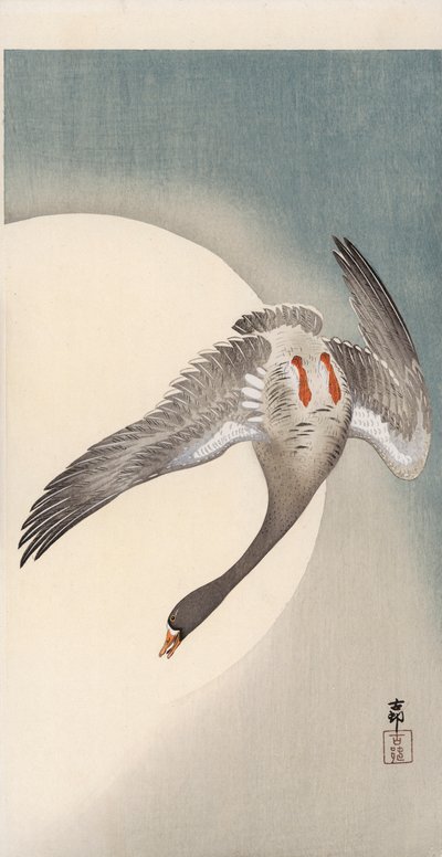 Flying white-fronted goose seen from underneath in front of the moon by Ohara Koson