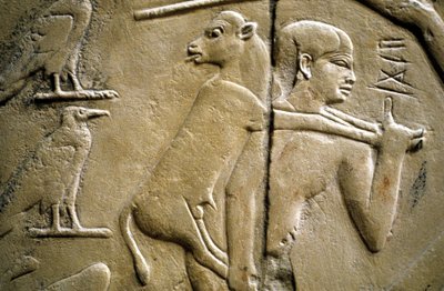 Detail (Relief Depicting a Man Carrying a Sacrificial Animal) by Old Kingdom Egyptian