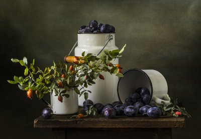 Rustic Plum Harvest by Olga Aleksandrovna