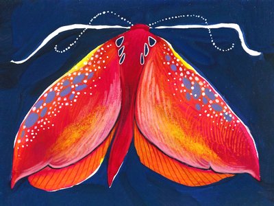 Colorful Night Moth by Olga Skomorokhova