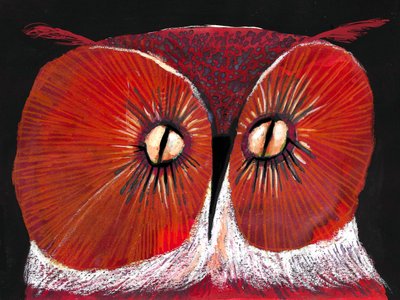 Intense Red Owl by Olga Skomorokhova