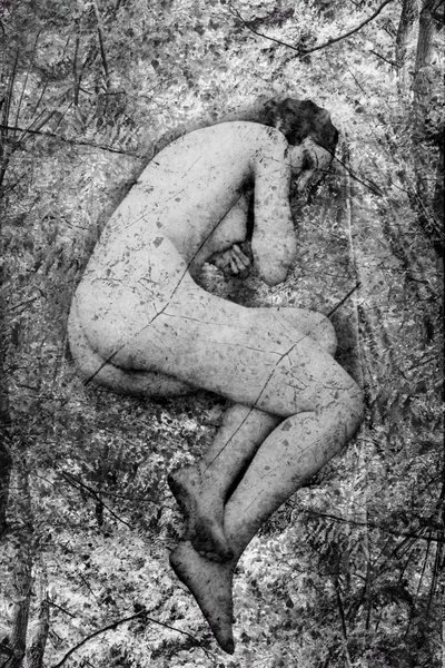 Seme, 2024 by Olivia Gozzano