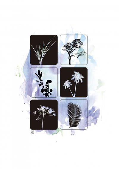 Botanical Silhouettes in Watercolor by Osvaldo Russo