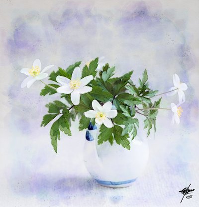 Delicate White Spring Flowers by Osvaldo Russo