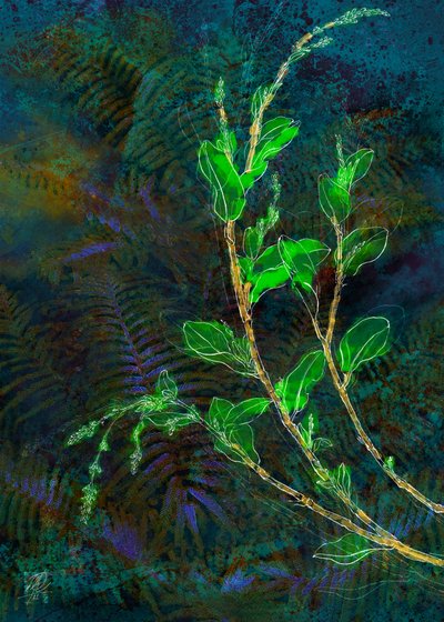 Glowing Forest Foliage by Osvaldo Russo