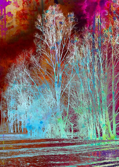 Surreal Colorful Forest by Osvaldo Russo