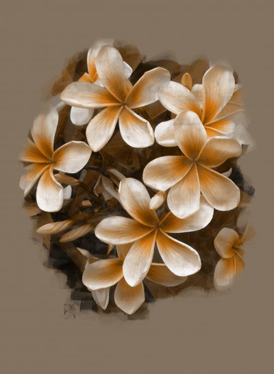 Tropical Plumeria Blooms by Osvaldo Russo