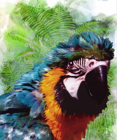 Vibrant Macaw Portrait by Osvaldo Russo