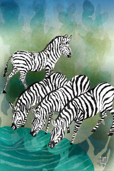 Zebras At The Watering Hole by Osvaldo Russo