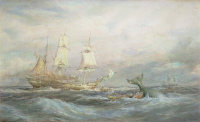 Colonial Whaler 