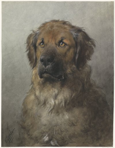 Head of a Leonberger, Facing Front by Otto Eerelman