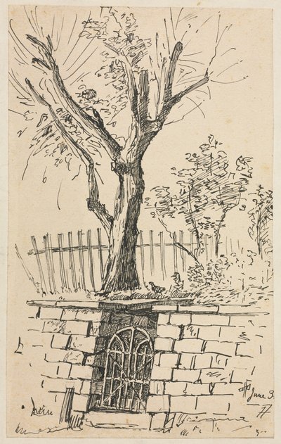 Tree on Top of a Stone Wall, Cleveland by Otto H. Bacher