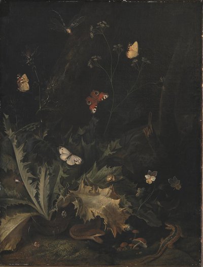 A Forest Floor with a Thistle, a Snake, a Lizard and Butterflies by Otto Marseus  van Schrieck