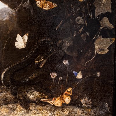 Snakes, Toads and Butterflies by Otto Marseus van Schrieck