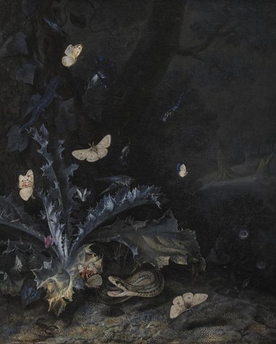 Still Life with Thistle and Snake by Otto Marseus  van Schrieck