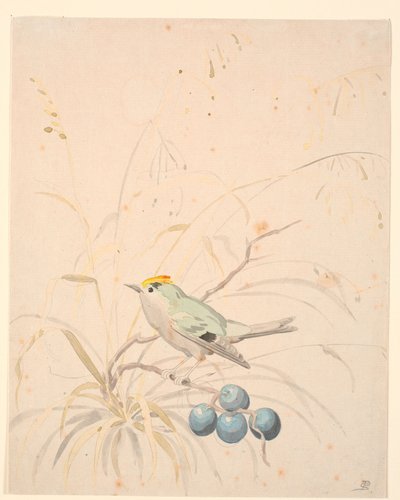 A Goldcrest on a Blackthorn Branch by P.C. Skovgaard
