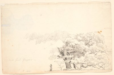 Large Oak Trees, Left a Man Reading by P.C. Skovgaard