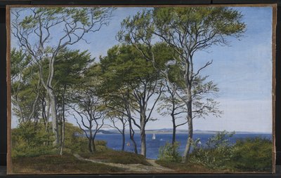 View Through Beech Trees Across a Fjord by P.C. Skovgaard