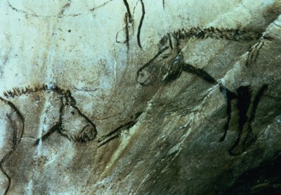 Horses, rock paintings in the Black Room, Magdalenian by Paleolithic Paleolithic